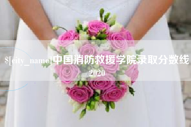 浙江中国消防救援学院录取分数线2020