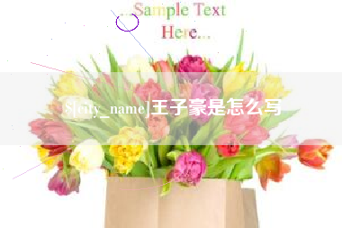 浙江王子豪是怎么写