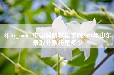 浙江中国消防救援学院2021年山东录取分数线是多少