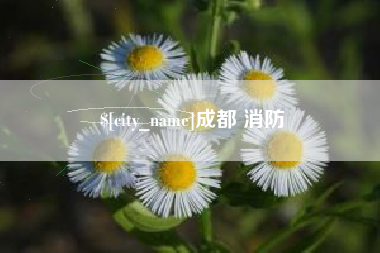 浙江成都 消防