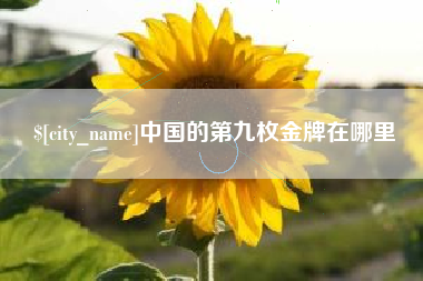 浙江中国的第九枚金牌在哪里