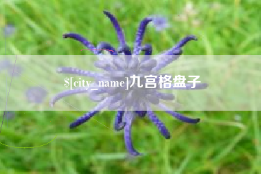 浙江九宫格盘子
