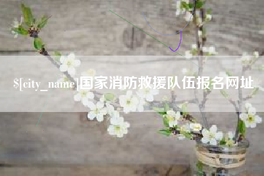 浙江国家消防救援队伍报名网址