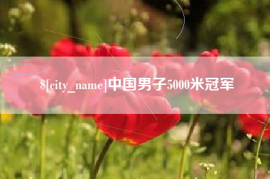 浙江中国男子5000米冠军