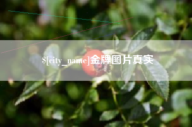 浙江金牌图片真实