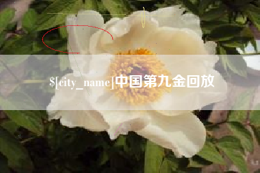 浙江中国第九金回放