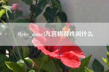 浙江九宫格游戏叫什么