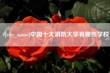 浙江中国十大消防大学有哪些学校