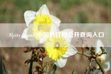 浙江中国执行网公开查询入口