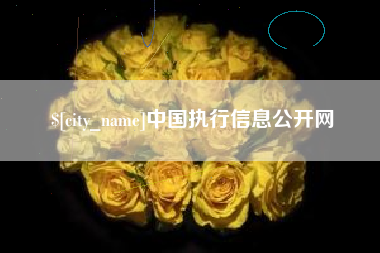浙江中国执行信息公开网