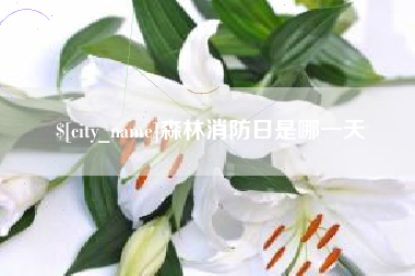 浙江森林消防日是哪一天