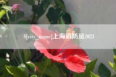 浙江上海消防员2021