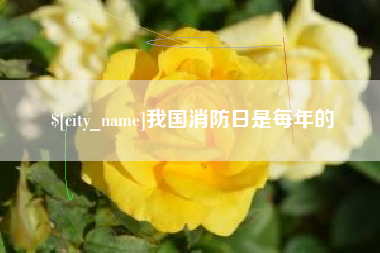 浙江我国消防日是每年的
