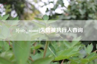 浙江失信被执行人杳询