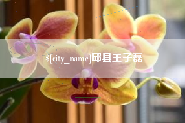 浙江邱县王子磊