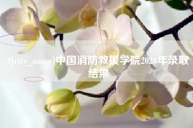 浙江中国消防救援学院2020年录取结果