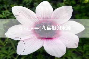 浙江九宫格的来源