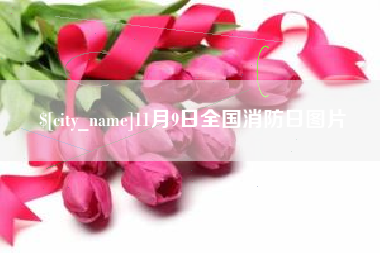 浙江11月9日全国消防日图片