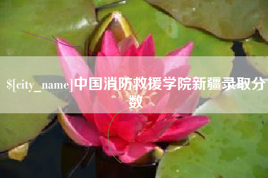 浙江中国消防救援学院新疆录取分数