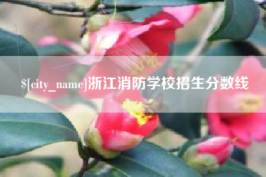 浙江浙江消防学校招生分数线