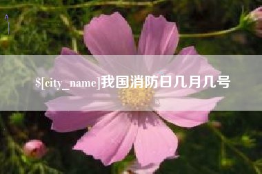 浙江我国消防日几月几号