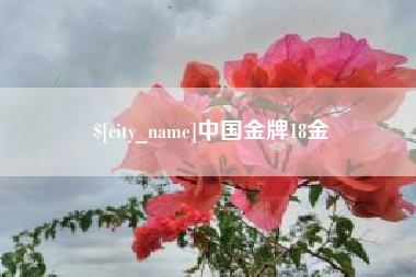 浙江中国金牌18金