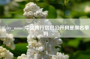 浙江中国执行信息公开网是黑名单吗