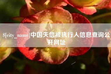 浙江中国失信被执行人信息查询公开网址