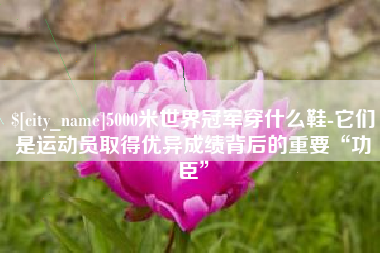 浙江5000米世界冠军穿什么鞋-它们是运动员取得优异成绩背后的重要“功臣”