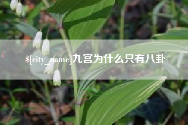 浙江九宫为什么只有八卦