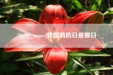 浙江我国消防日是哪日