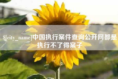 浙江中国执行案件查询公开网都是执行不了得案子