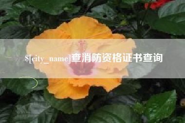 浙江查消防资格证书查询