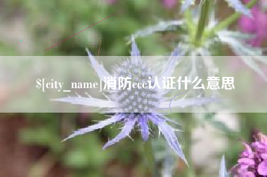 浙江消防ccc认证什么意思