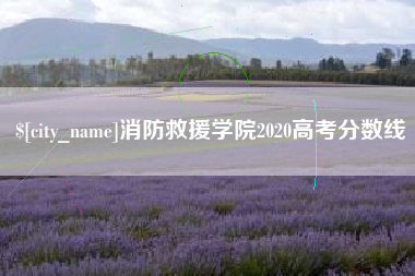 浙江消防救援学院2020高考分数线