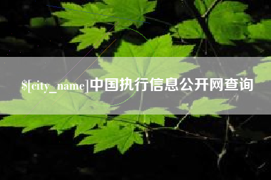 浙江中国执行信息公开网查询