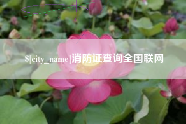 浙江消防证查询全国联网