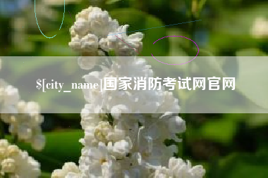 浙江国家消防考试网官网