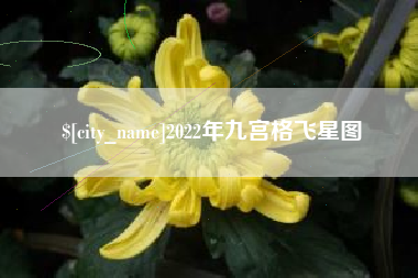 浙江2022年九宫格飞星图