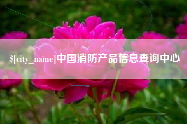 浙江中国消防产品信息查询中心