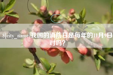浙江我国的消防日是每年的11月9日对吗？