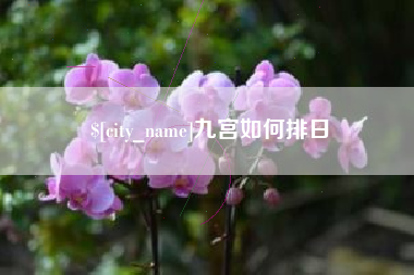 浙江九宫如何排日