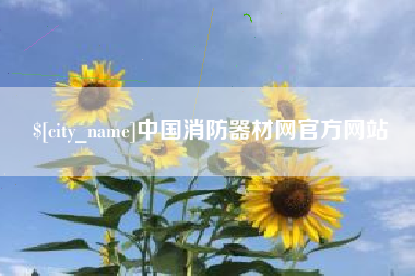 浙江中国消防器材网官方网站