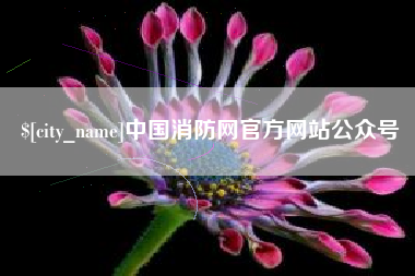 浙江中国消防网官方网站公众号