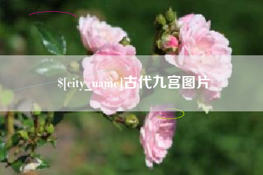 浙江古代九宫图片