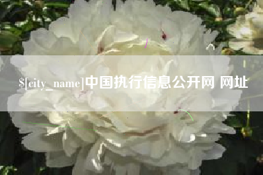 浙江中国执行信息公开网 网址
