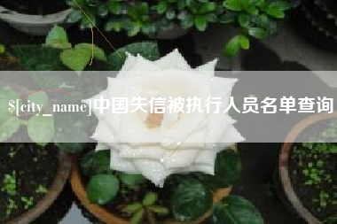 浙江中国失信被执行人员名单查询