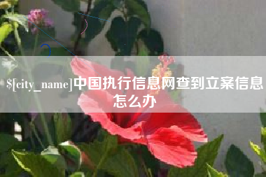 浙江中国执行信息网查到立案信息怎么办