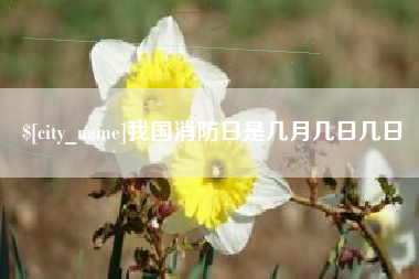 浙江我国消防日是几月几日几日