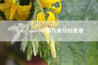 浙江中国九金分别是谁